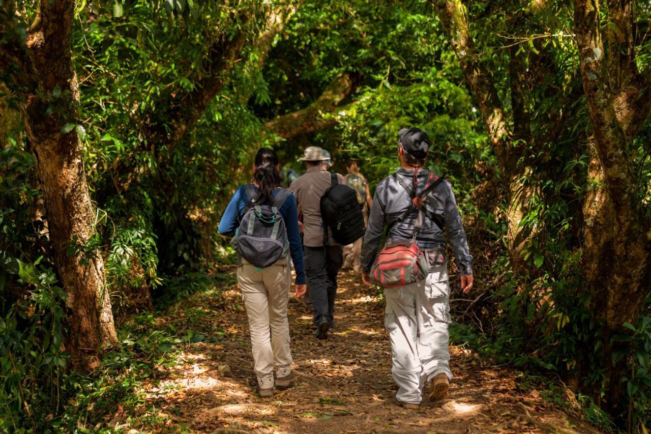 Natural Lodge Cano Negro エクステリア 写真