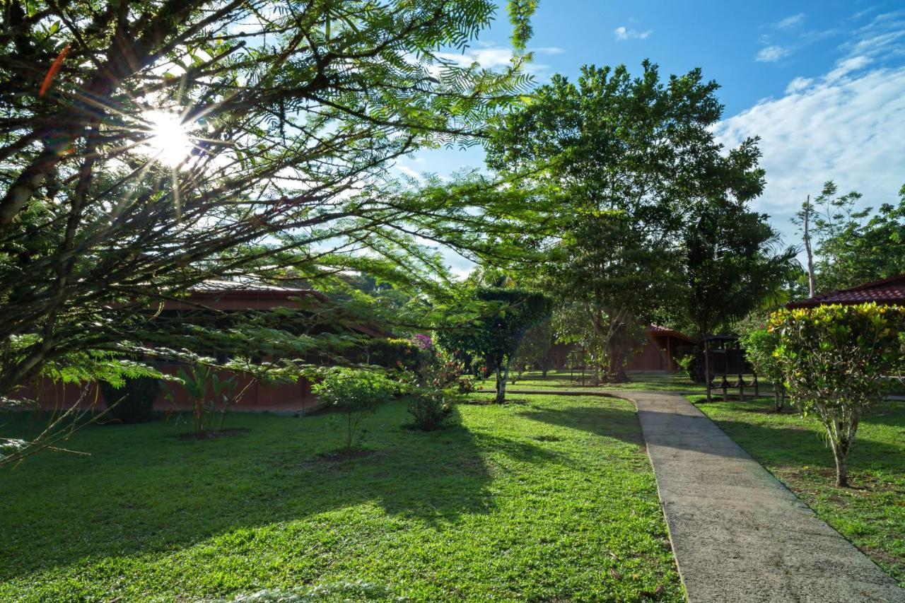 Natural Lodge Cano Negro エクステリア 写真