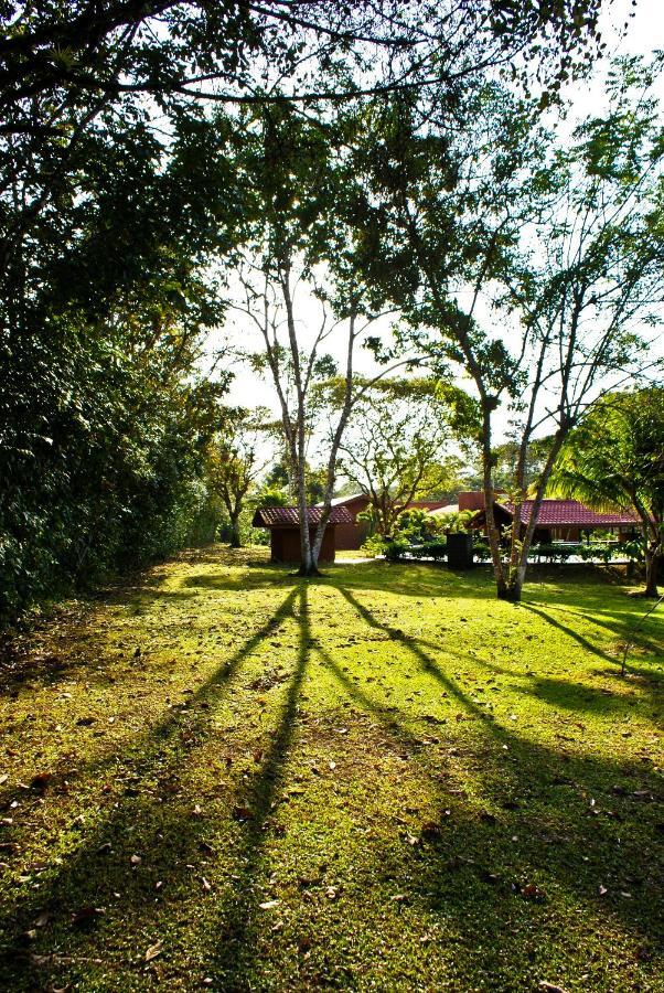 Natural Lodge Cano Negro エクステリア 写真