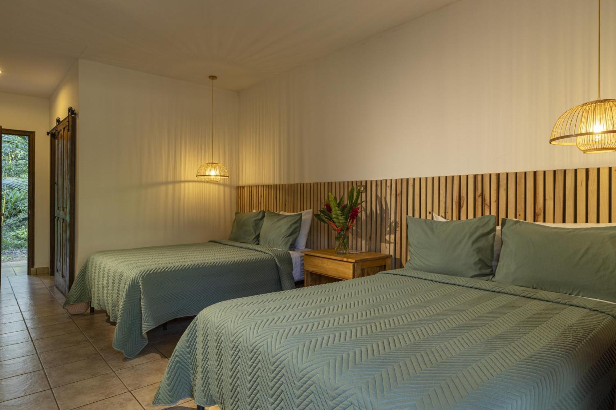 Natural Lodge Cano Negro エクステリア 写真