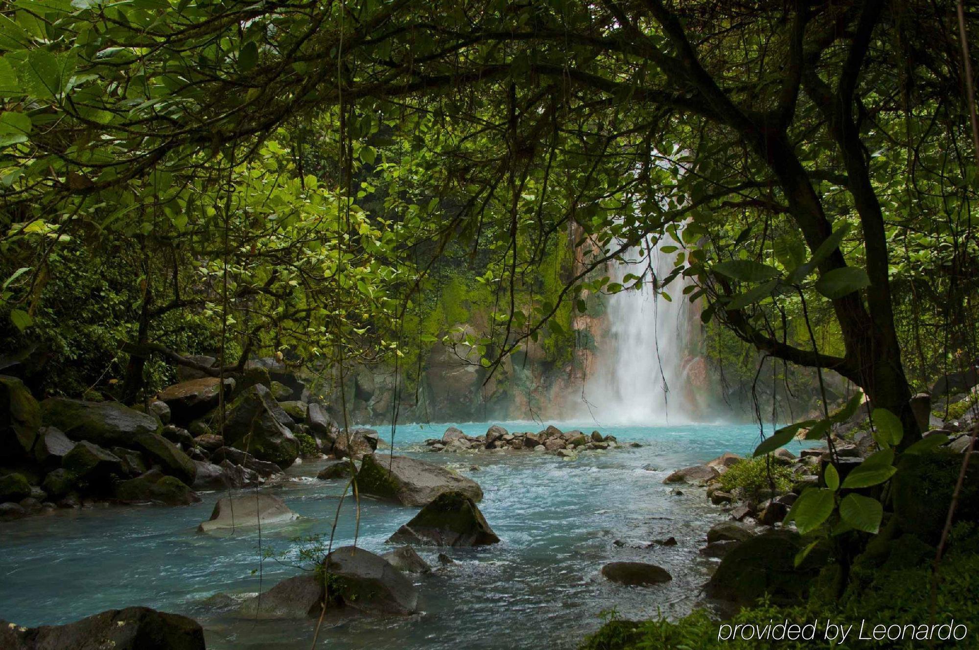 Natural Lodge Cano Negro エクステリア 写真
