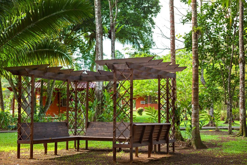 Natural Lodge Cano Negro エクステリア 写真