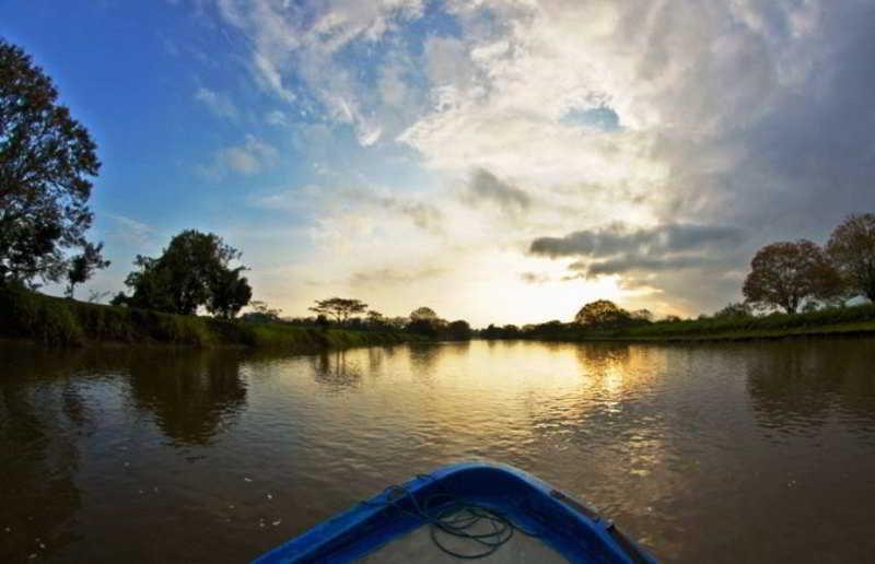Natural Lodge Cano Negro エクステリア 写真