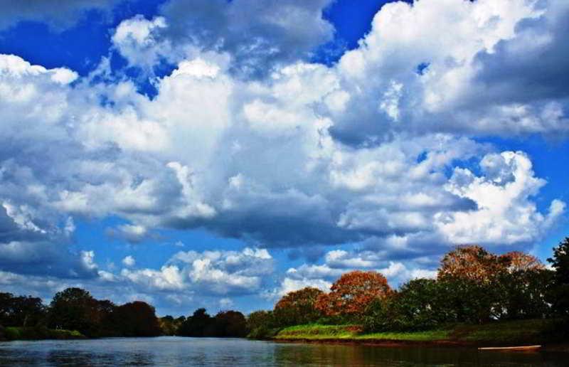 Natural Lodge Cano Negro エクステリア 写真