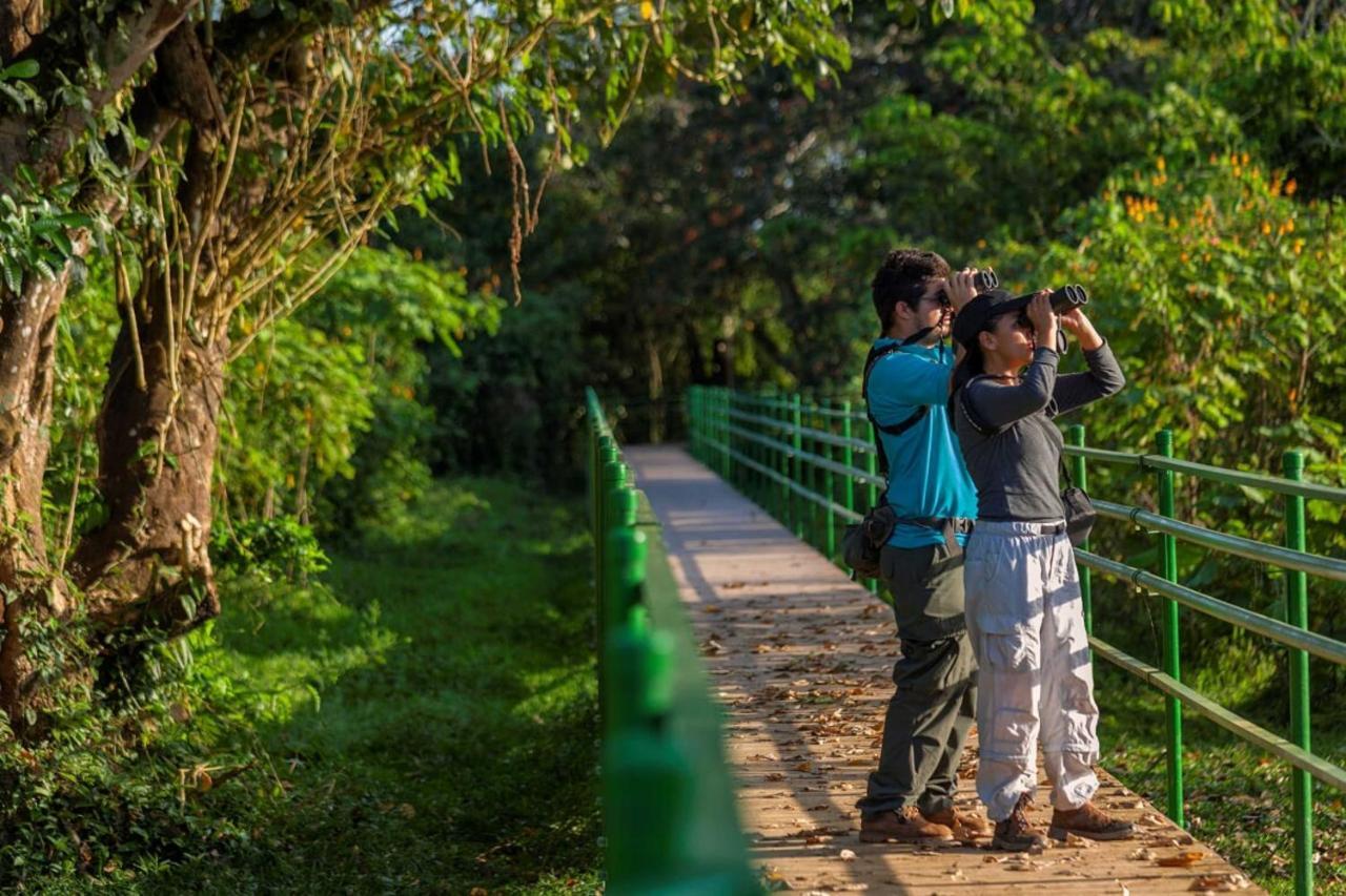 Natural Lodge Cano Negro エクステリア 写真