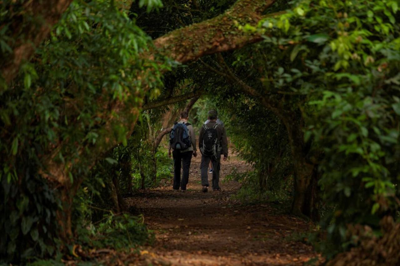 Natural Lodge Cano Negro エクステリア 写真