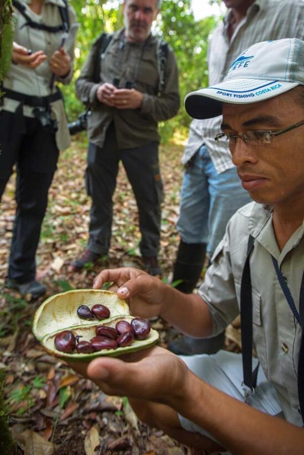 Natural Lodge Cano Negro エクステリア 写真